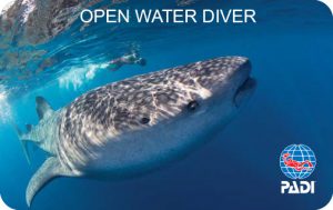 Обучение дайвингу на Ко Тао - Курс PADI Open Water Diver