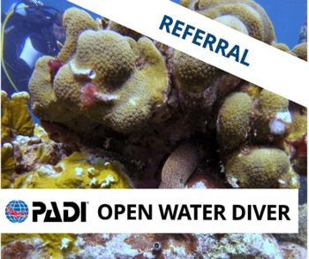 PADI OWD Referral