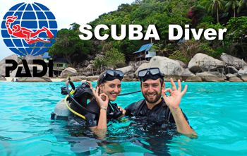 PADI Scuba Diver