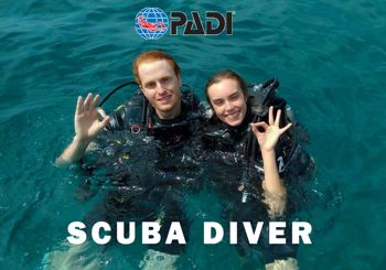 Обучение дайвингу на Ко Тао - Курс PADI Scuba Diver