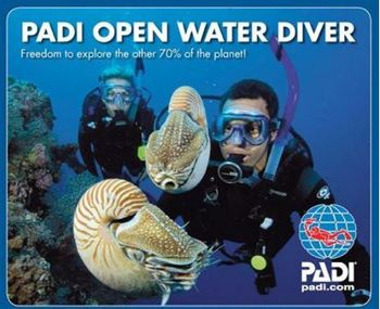 PADI OWD