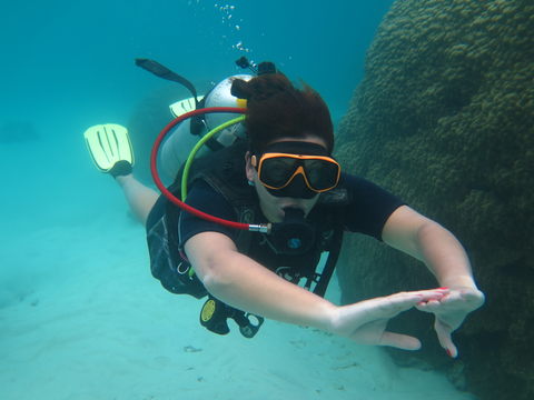 Дайвинг на острове Самуи - пробное погружение с аквалангом для новичков