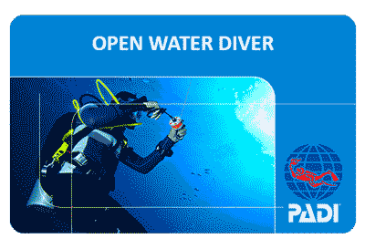 Курс PADI Open Water Diver на острове Самуи - самый популярный курс дайвинга в мире