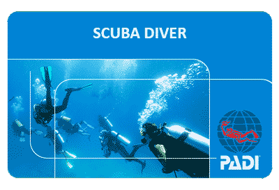 Курс PADI SCUBA Diver на острове Ко Тао