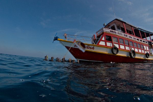 Scuba Birds dive boat