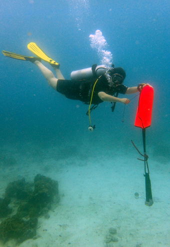 Дайвинг на Ко Тао, спецкурс PADI  Search and Recovery Diver