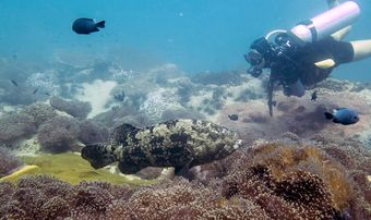 Правильно подобранные груза позволяют находиться как можно ближе к морскому дну, при этом не касаясь его