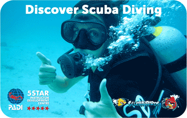 Программа PADI Discover Scuba Diver — пробное погружение с аквалангом на Пангане, ฿3,690 / 2 дайва