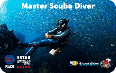 Курс Mаster Scuba Diver на острове Панган для сертифицированных дайверов — сроки и стоимость по запросу