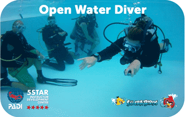 Курс PADI Open Water Diver на Пангане - 3 дневный курс дайвинга для новичков