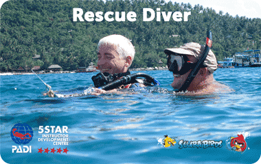 Курс PADI Rescue Diver на острове Панган для сертифицированных дайверов — ฿11,200 / 3 дня, проживание включено 